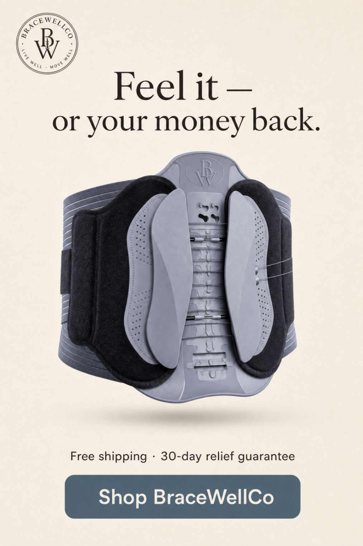 BraceWellCo Lumbar Support Belt