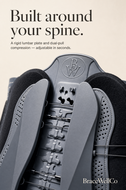BraceWellCo Lumbar Support Belt
